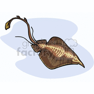 banjofish clipart. Royalty-free image # 132277