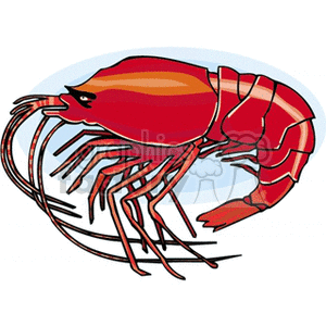 Prawn shrimp clipart. Royalty-free image # 132321