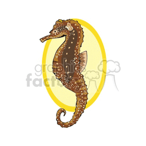 hippocampus clipart. Commercial use image # 132633