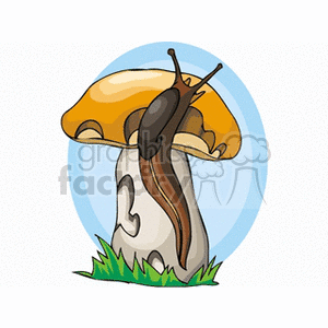 Slug on a mushroom clipart. Royalty-free image # 132713