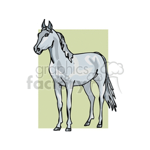 grey horse  clipart.