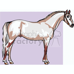 horse7 clipart. Royalty-free image # 132801