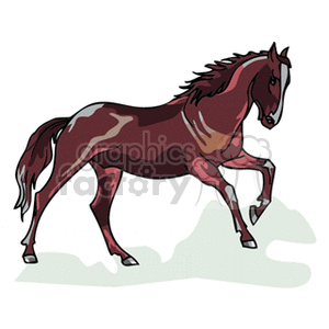 brown  mustang horse  clipart.