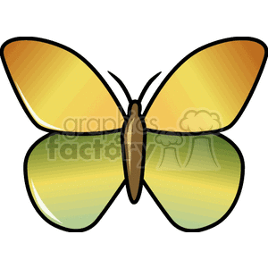  insect insects bug bugs butterfly butterflies  FAI0101.gif Clip Art Animals Insects 