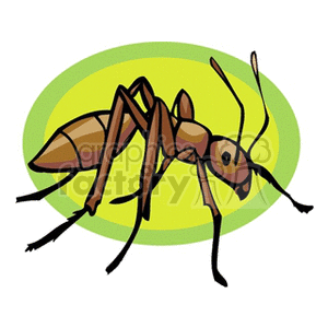 bug9 clipart. Royalty-free image # 132983