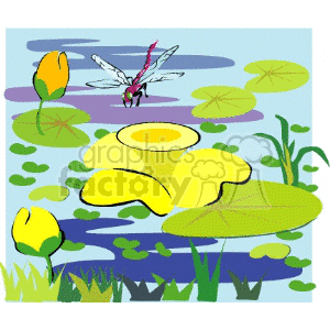   insect insects bug bugs lilypad  lilypad.gif Clip Art Animals Insects 
