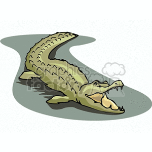 alligator6 clipart. Royalty-free image # 133109