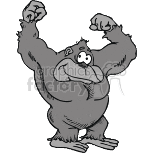 Gray gorilla showing his muscles