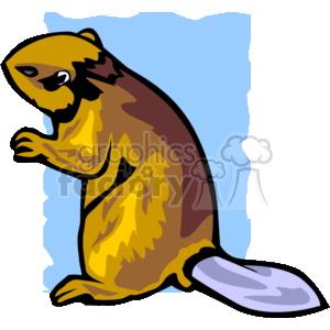   rodent rodents animals beaver beavers  5_beaver.gif Clip Art Animals Rodents 
