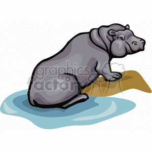 hippopotamus laying near water clipart. Royalty-free image # 133636
