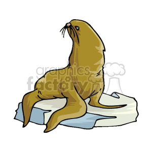 large brown seal on ice clipart. Commercial use image # 133715