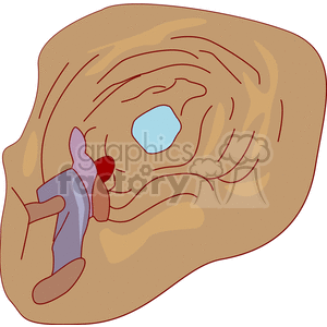 cave300 clipart. Commercial use image # 136803