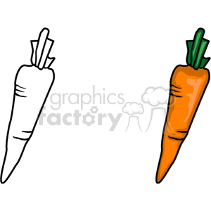 two carrots clipart. Royalty-free image # 142233