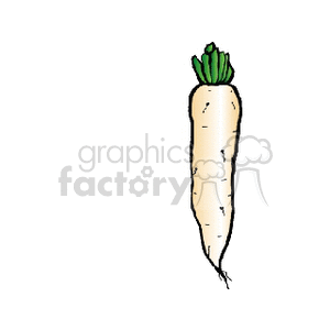 daikon clipart. Commercial use image # 142304