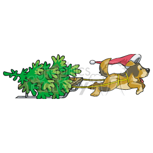 Puppy Pulling a Christmas Tree with a Sled