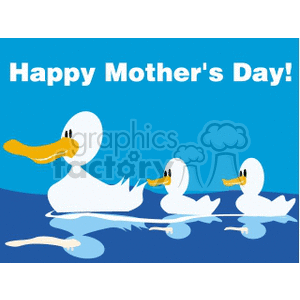   holidays mothers day mother mom mommy family duck ducks animals bird birds  MOTHERSDAYDUCKS01.gif Clip Art Holidays Mothers Day 
