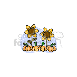 clipart - thanksgiving flowers and pumpkins.