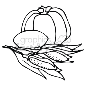 This black and white clipart image features a pumpkin and ears of corn, both of which are common symbols associated with Thanksgiving.