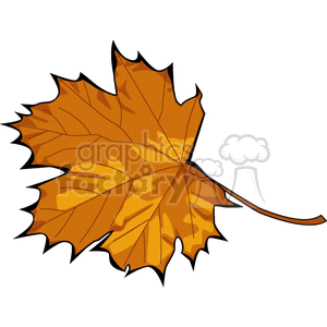   leaf leafs nature maple  abc134.gif Clip Art Nature 