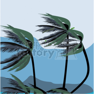   weather tropical palm tree trees wind windy vacation  wind_clouds_palmtrees002.gif Clip Art Nature 