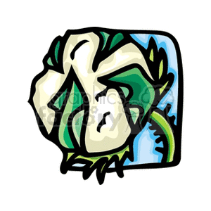 cotton plant clipart. Royalty-free image # 151258