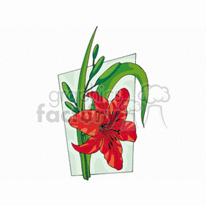 red hibiscus clipart. Commercial use image # 151270