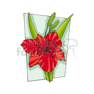 red hibiscus flower clipart. Commercial use image # 151284