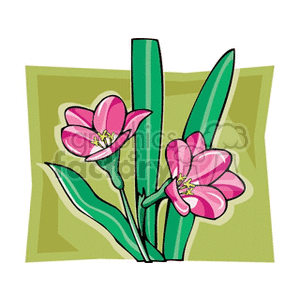 Two pink flowers with leaves clipart. Commercial use image # 151292