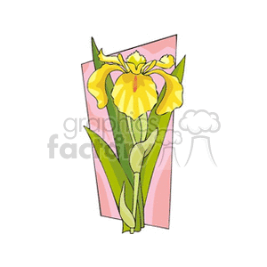 flower151212 clipart. Royalty-free image # 151294
