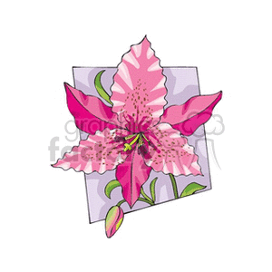 flower201212 clipart. Royalty-free image # 151310