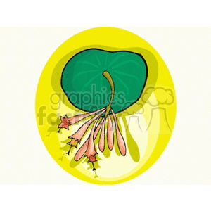 Blooming coral water lily clipart.