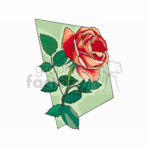 Red rose in full bloom clipart. Commercial use image # 151583