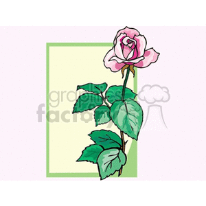 Pink long stemmed rose clipart. Royalty-free image # 151591
