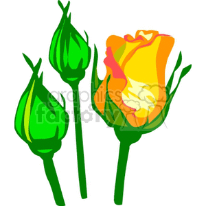  flower flowers plant plants rose roses   rastenia-011 Clip Art Nature Flowers  yellow bud sprout