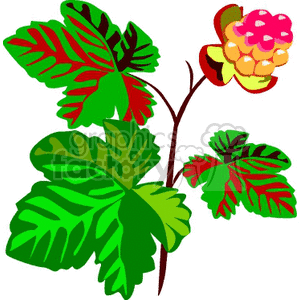 rastenia-021 clipart. Commercial use image # 151634