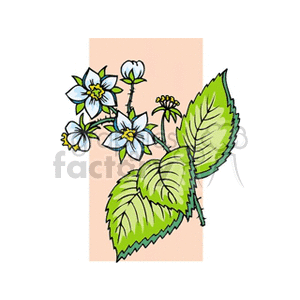   plant plants branch branches tree trees berry berries  blackberry.gif Clip Art Nature Plants 