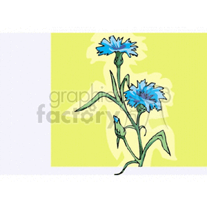   plant plants flower flowers  bluet.gif Clip Art Nature Plants 