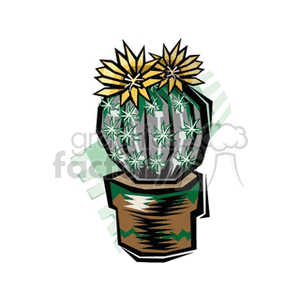   plant plants desert cactus cactuses  cactus161212.gif Clip Art Nature Plants 