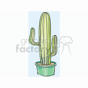   plant plants desert cactus cactuses  cactus51512.gif Clip Art Nature Plants 