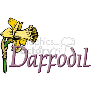 daffodil clipart. Commercial use image # 151998