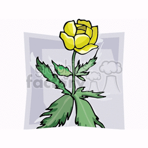 globeflower2 clipart. Commercial use image # 152061