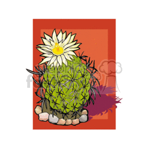 The clipart image features a green cactus with numerous spines and a large, blooming white flower on top. The cactus is surrounded by a few small rocks at the base. It sits against a gradient background shifting from orange to red, with the shadow of the cactus to one side.