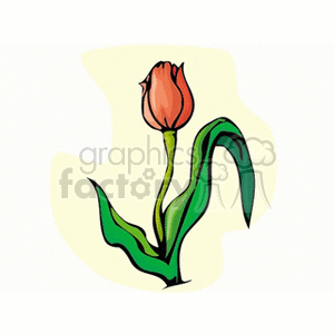 tulip1212 clipart. Royalty-free image # 152370