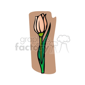Pink tulip clipart. Commercial use image # 152372