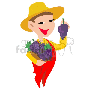 A Worker Holding Grapes Picked From the Vineyard