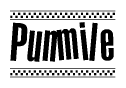 The image is a black and white clipart of the text Punmile in a bold, italicized font. The text is bordered by a dotted line on the top and bottom, and there are checkered flags positioned at both ends of the text, usually associated with racing or finishing lines.