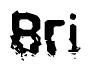 The image contains the word Bri in a stylized font with a static looking effect at the bottom of the words