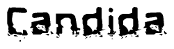 The image contains the word Candida in a stylized font with a static looking effect at the bottom of the words