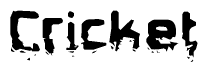 The image contains the word Cricket in a stylized font with a static looking effect at the bottom of the words