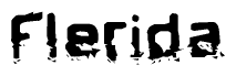 This nametag says Flerida, and has a static looking effect at the bottom of the words. The words are in a stylized font.